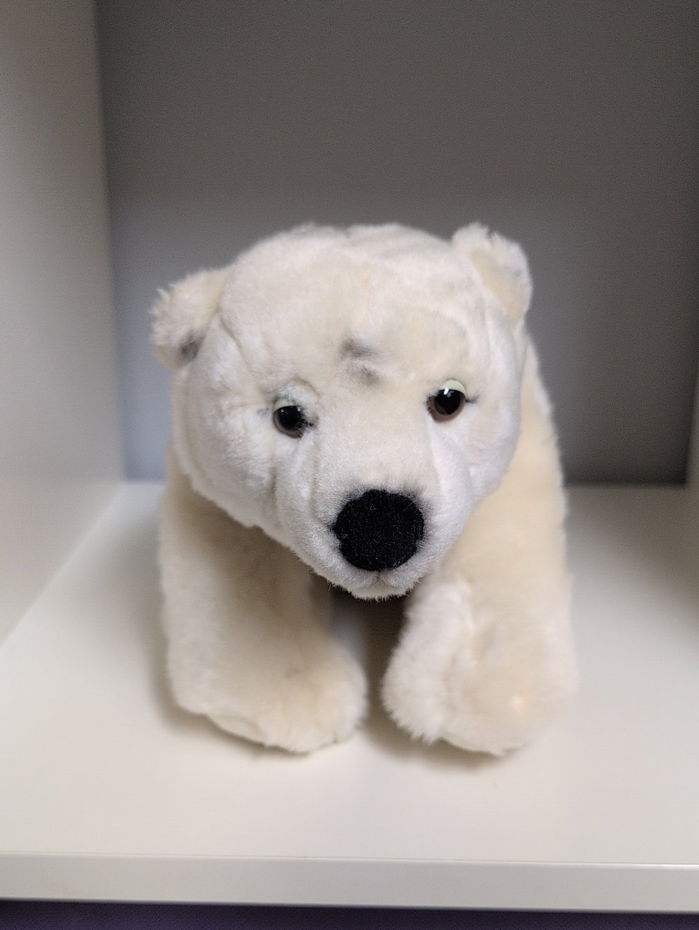 Webkinz Signature Endangered Polar Bear No Code Y2k Collectible Plush GANZ